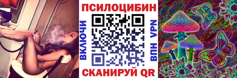 Купить закладки  Калуга  Псилоцибиновые грибы GOLDEN TEACHER 